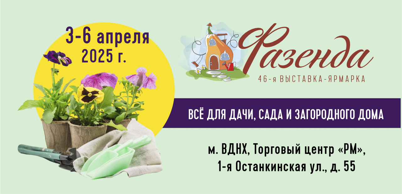 Фазенда 2025