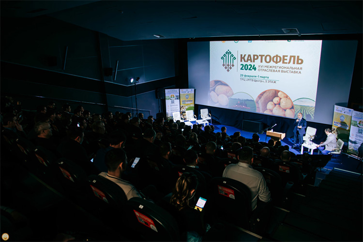 Картофель 2025
